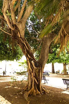 דירה Le Tre